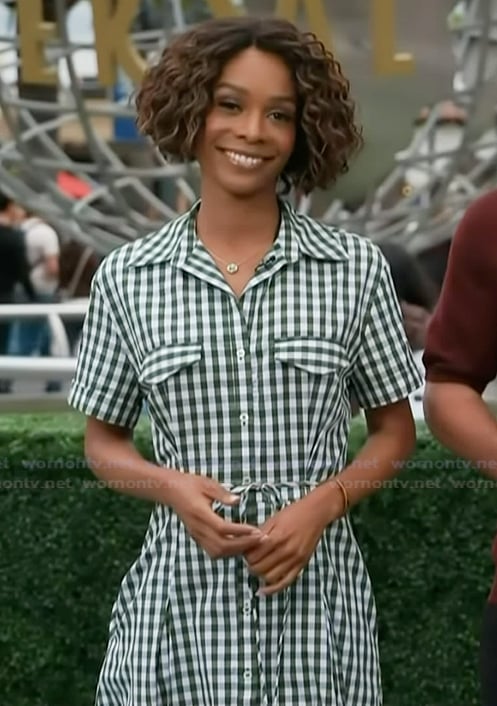 Zuri’s green gingham check dress on Access Hollywood