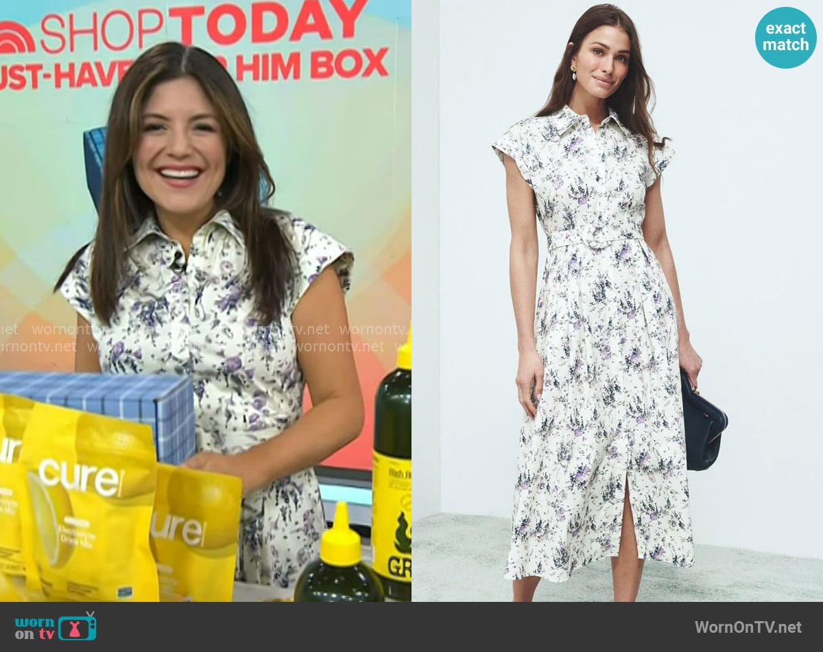 Adam Lippes Poplin Belted Shirt Dress worn by Adrianna Barrionuevo Brach on Today