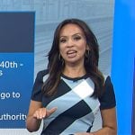 Adelle’s navy dress with oversized checks on Today