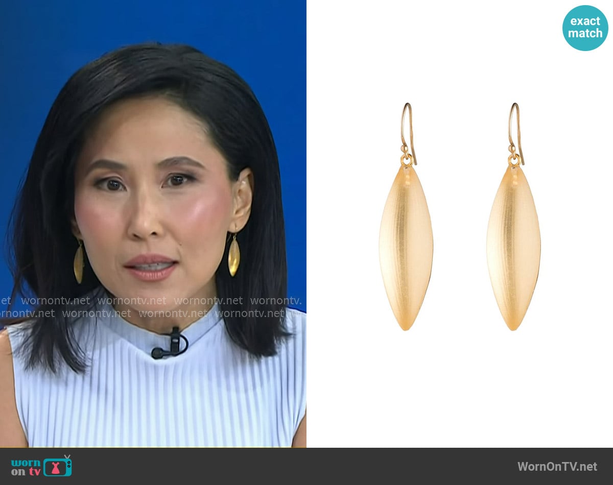 Alexis Bittar Textured Lucite Drop Earrings in gold worn by Vicky Nguyen on Today
