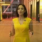 Ali Bauman's yellow v-neck dress on CBS Evening News