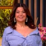 Ana's blue striped shirtdress on The View