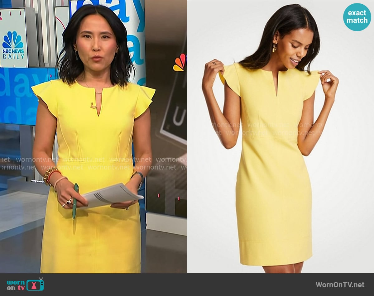 Ann Taylor Flutter Sheath Dress worn by Vicky Nguyen on NBC News Daily