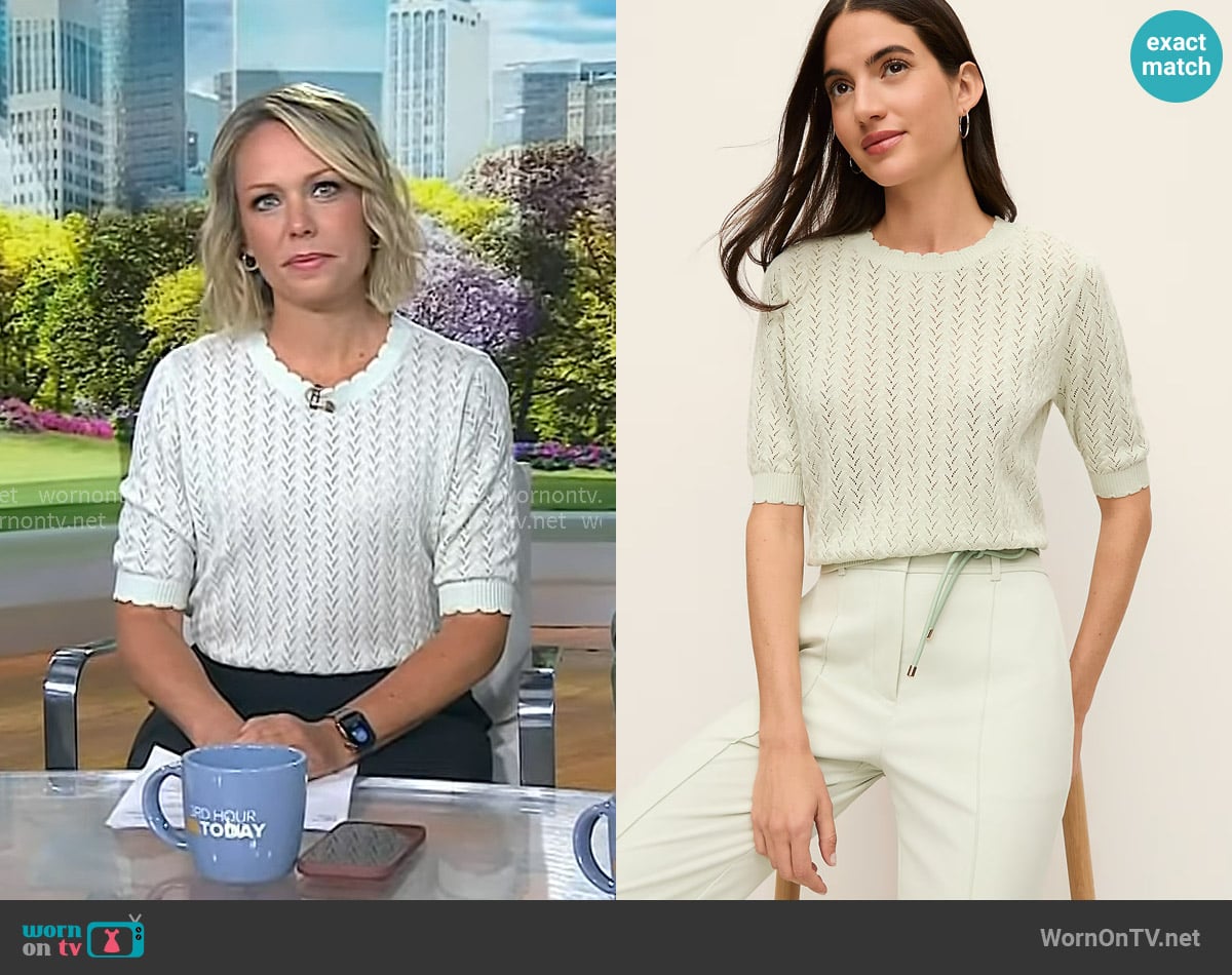 Ann Taylor Weekend Pointelle Sweater Tee in Pale Aqua worn by Dylan Dreyer on Today