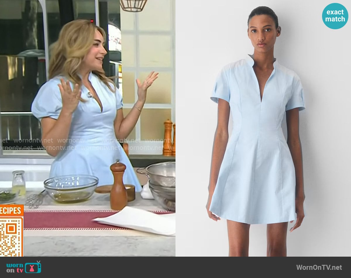 Babaton Intro Poplin Dress worn by Dina Deleasa on Today