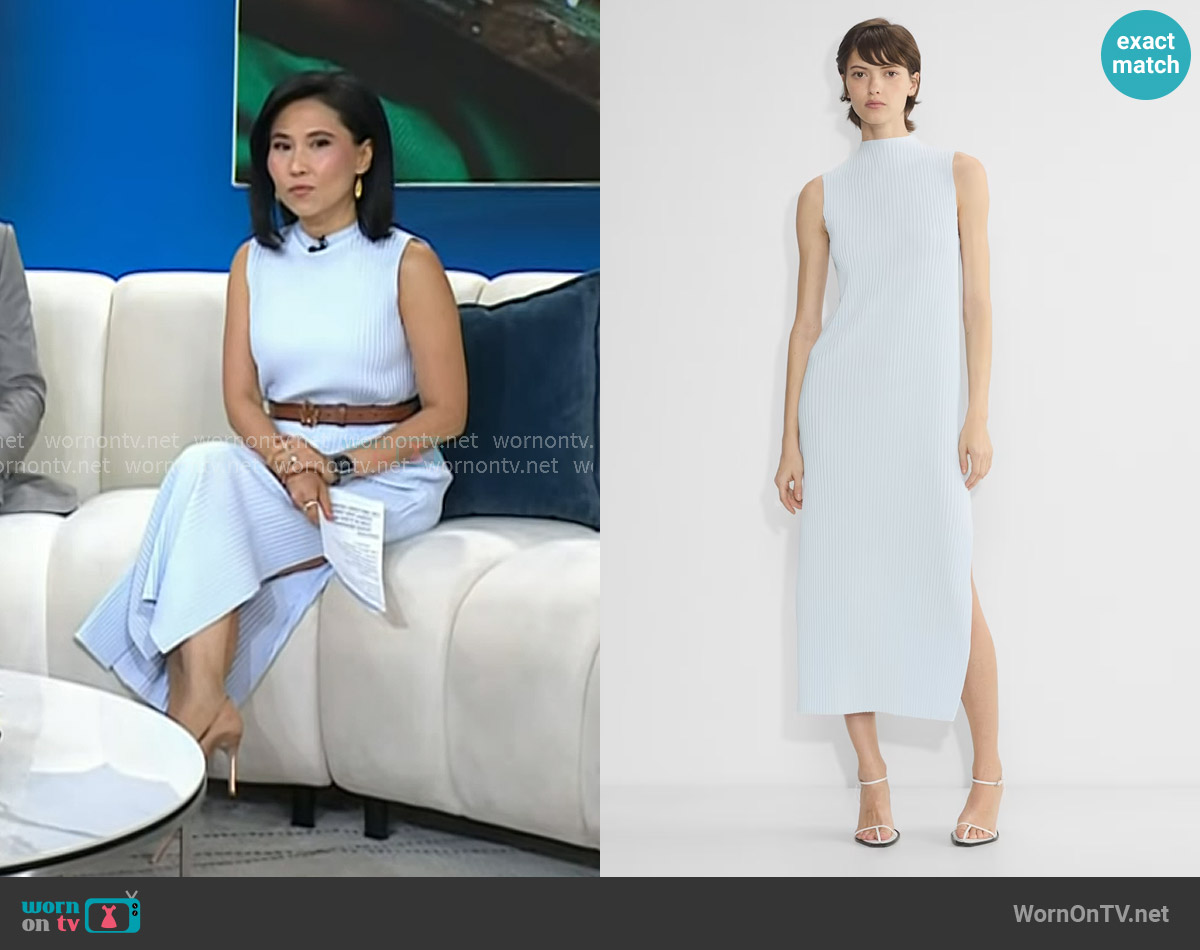 Babaton Optimize Dress in glimmer worn by Vicky Nguyen on Today