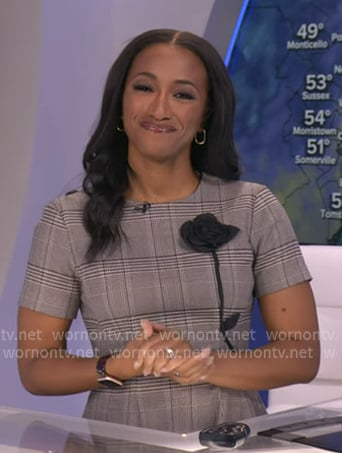 Brittany’s grey plaid floral applique dress on Good Morning America