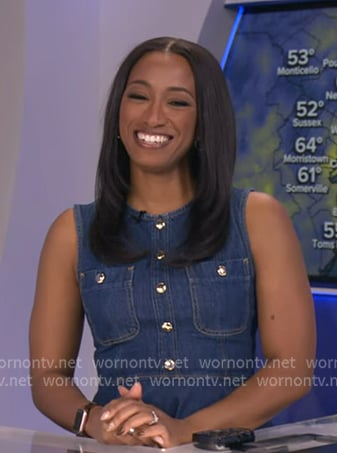 Brittany’s sleeveless denim dress on Good Morning America