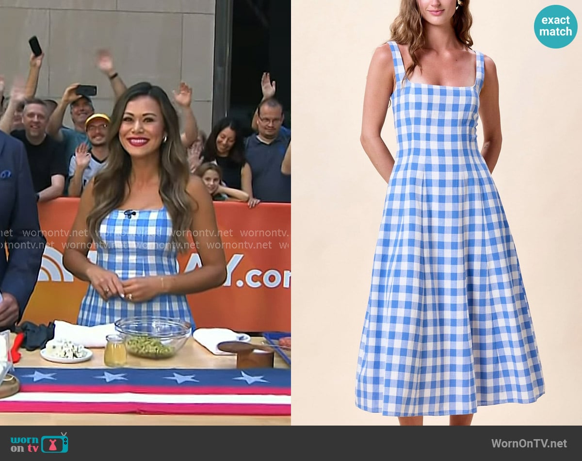 Brandi Milloy’s blue gingham square neck dress on Today