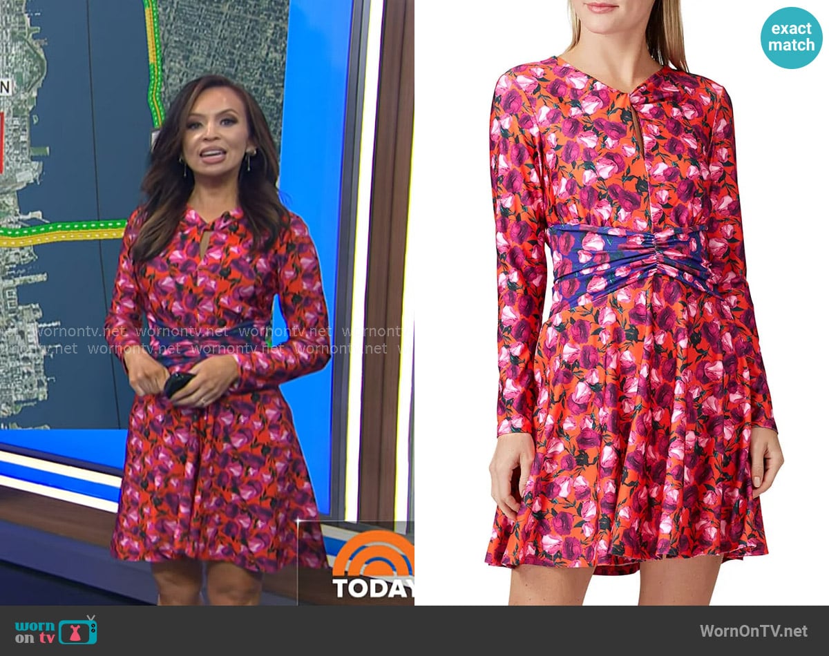 Delfi Collective Morris Dress worn by Adelle Caballero on Today