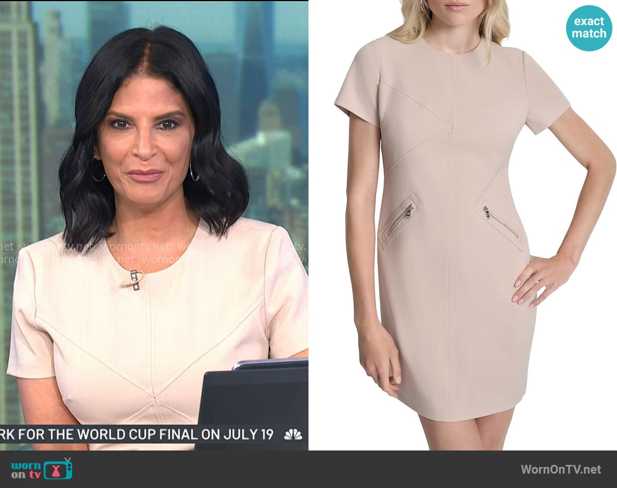 Darlene’s blush pink seamed dress on Today
