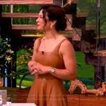 Dr Lindsey Zubritsky's brown leather dress on The View