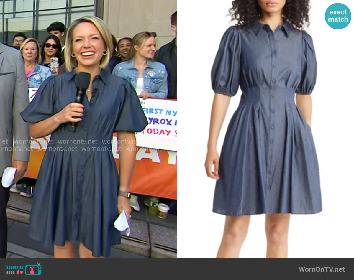 Eliza J Puff Sleeve Shirtdress in Denim worn by Dylan Dreyer on Today