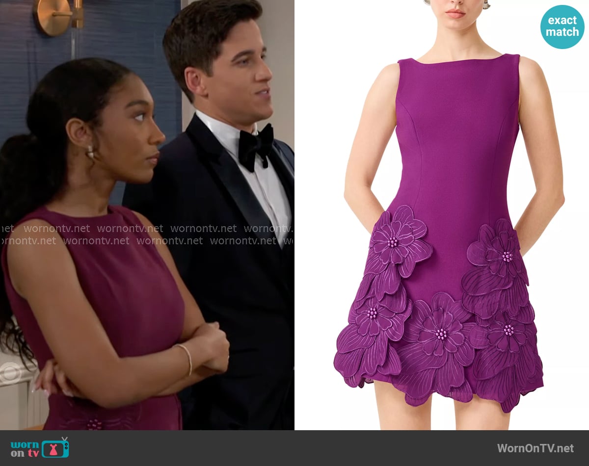 Elliatt Janelle Mini Dress worn by Samantha Richardson (Najah Jackson) on Beyond the Gates