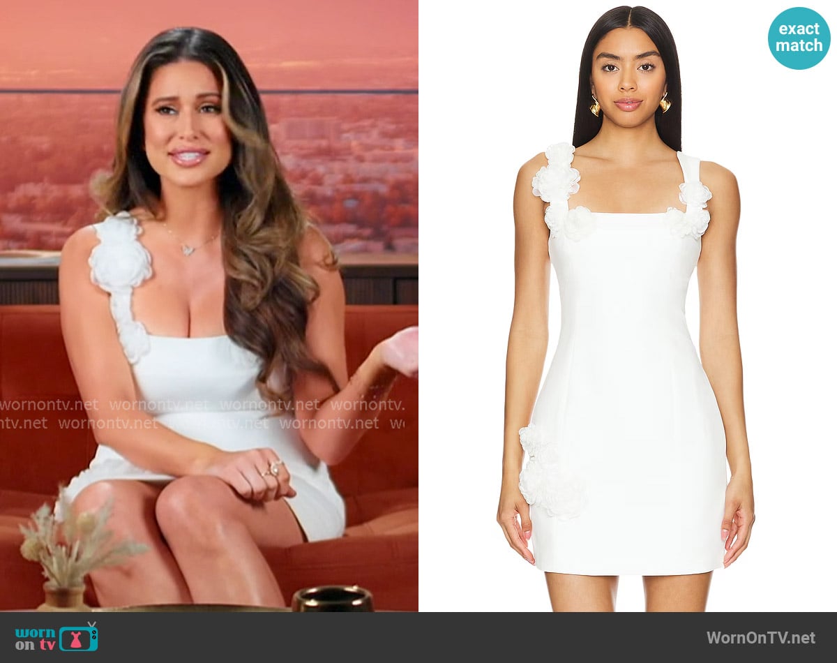 Elliatt Trompe Dress worn by Nia Booko on The Valley