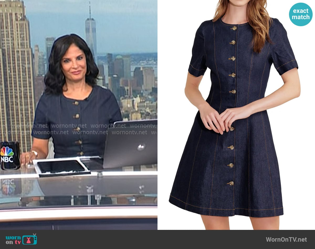 FreeMarket Flying Tomato Short Sleeve A-Line Cotton Blend Denim Minidress worn by Darlene Rodriguez on Today