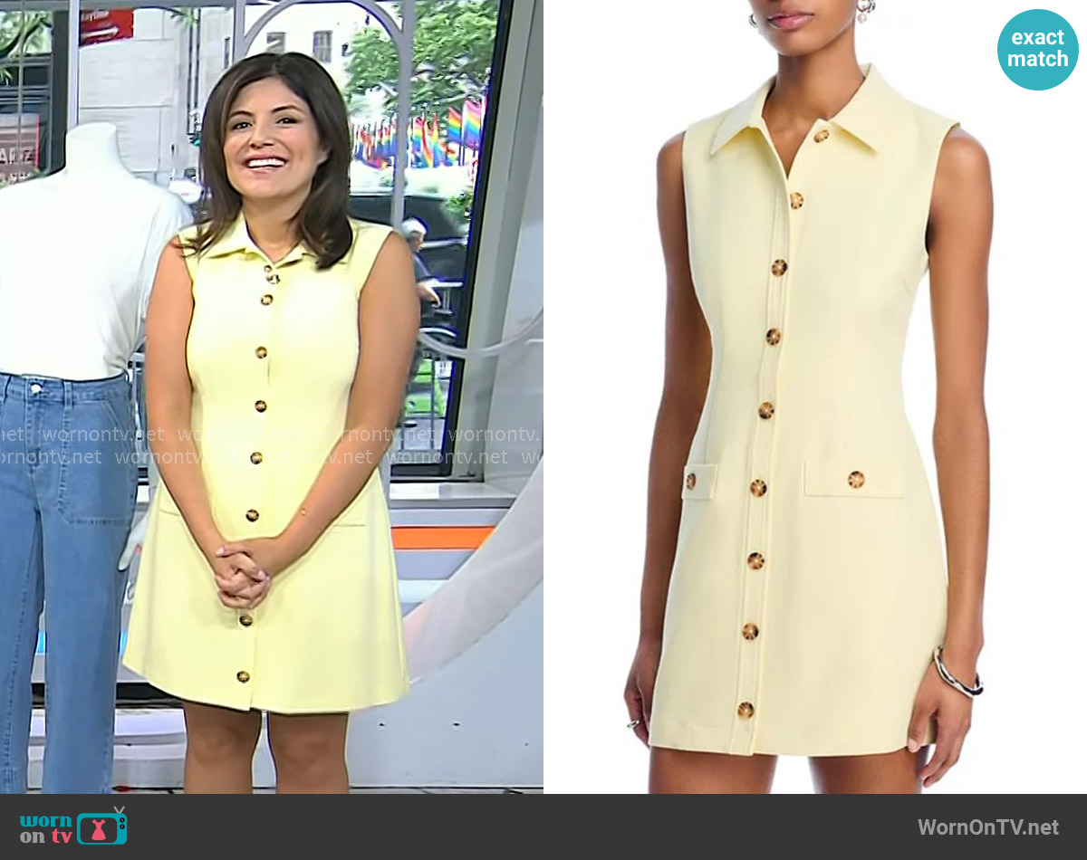 French Connection Azra Sleeveless Twill Mini Shirtdress in Cornsilk Yellow worn by Adrianna Barrionuevo Brach on Today