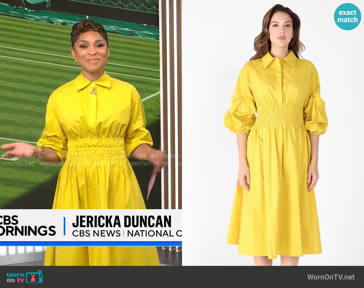 Gracia Ruched Puff Sleeve & Waist A Line Midi Dress worn by Jericka Duncan on CBS Mornings