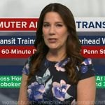 Heather's navy floral print dress on Good Morning America