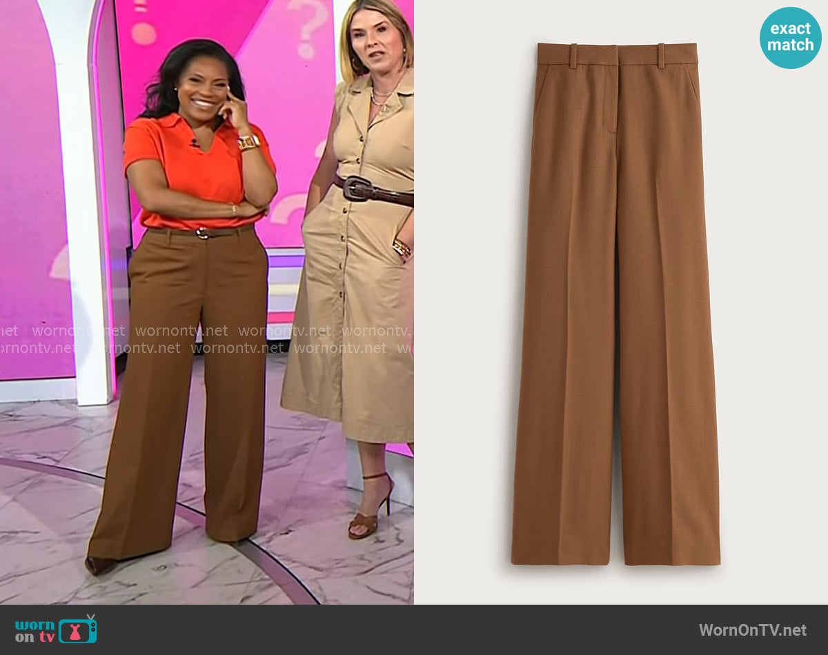 Sheinelle’s brown pants on Today