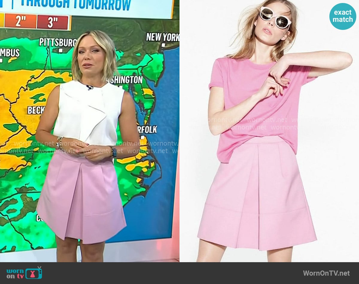 J. Crew Pleat Front Mini Skirt worn by Dylan Dreyer on Today