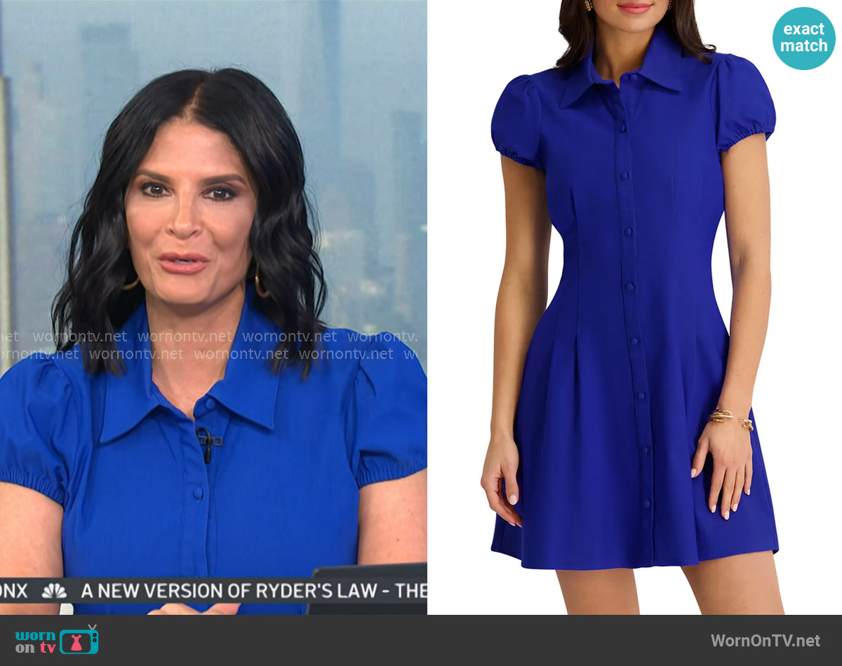 Kensie Puff Sleeve Stretch Woven Minidress in Cobalt worn by Darlene Rodriguez on Today