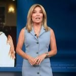 Kit's blue button front dress on Access Hollywood