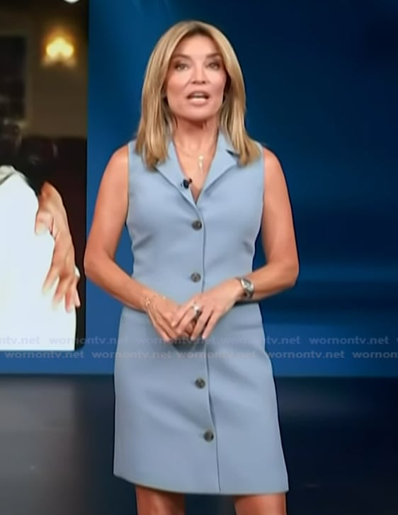 Kit’s blue button front dress on Access Hollywood