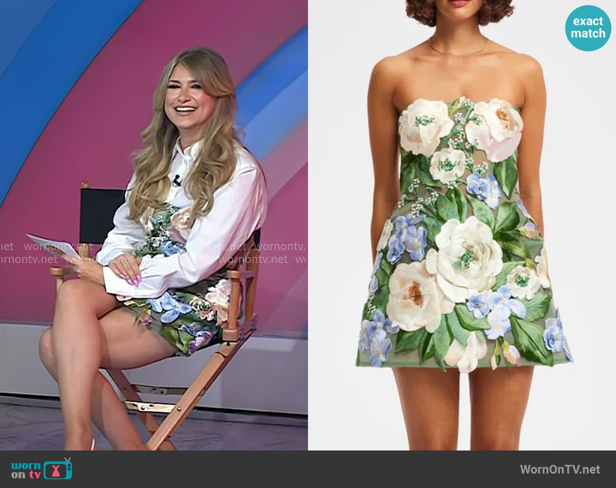 Leo Lin Floral Hand-Embroidered Bustier Mini Dress worn by Nikki Novak on Today