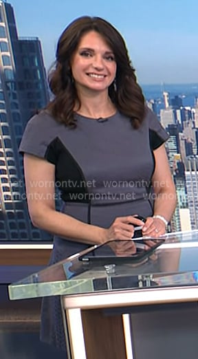 Maria’s grey colorblock flare dress on Today