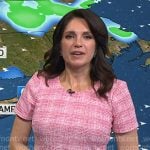 Maria’s pink plaid pleated hem dress on Today