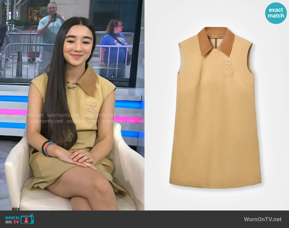 Mithridate Canvas Shift Dress worn by Eve Ridley on Today