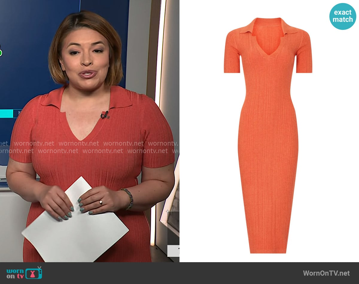 Naadam Ribbed Polo Dress worn by Gilma Avalos on NBC News Daily