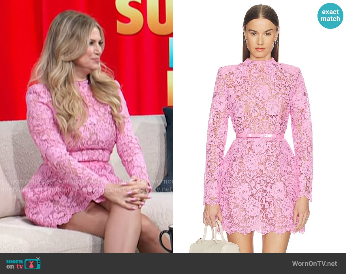 Nadine Merabi Sophie Pink Dress worn by (Nikki Novak) on Not Suitable For Work