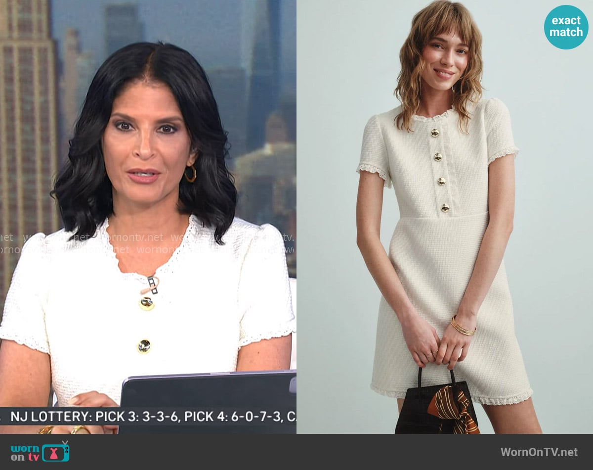 Sail to Sable Button Front Shift Dress worn by Darlene Rodriguez on Today