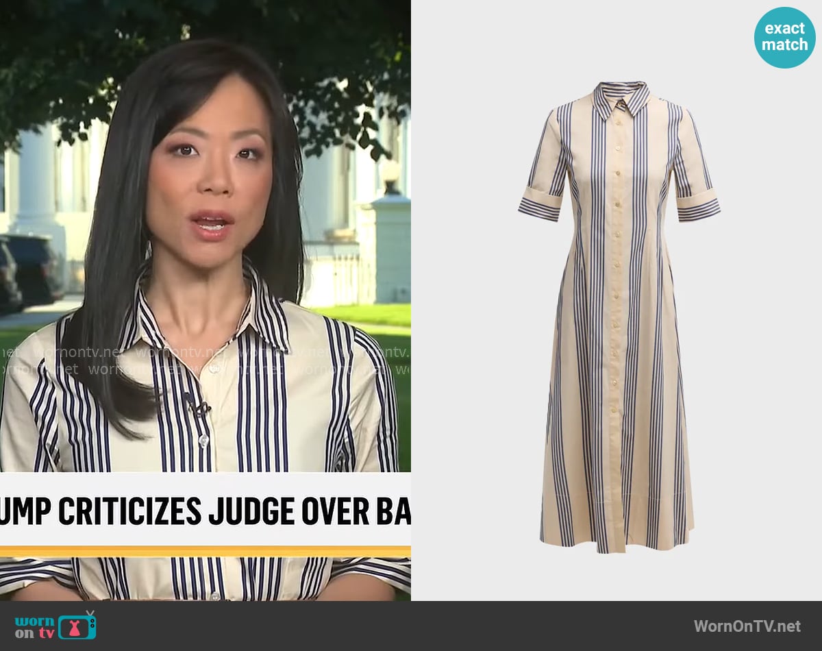 Staud Joan Cotton Poplin Stripe Maxi Dress worn by Weijia Jiang on CBS Mornings