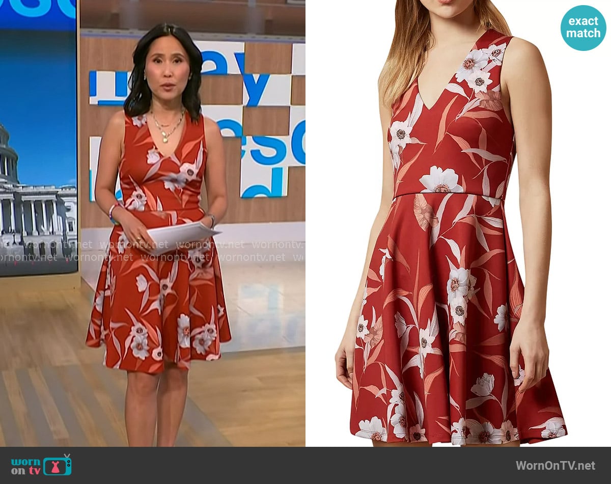 Ted Baker Enyaa Cabana Print Skater Dress worn by Vicky Nguyen on NBC News Daily