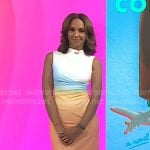 Tia Williams’s ombre sleeveless dress on Today