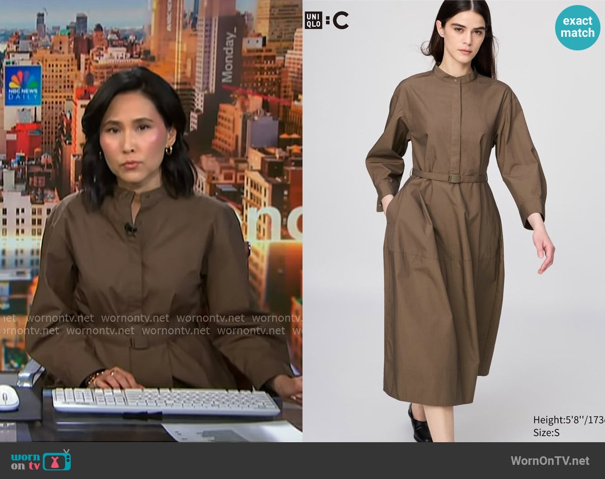 Uniqlo Cotton Volume Sleeve Dress in Brown worn by Vicky Nguyen on NBC News Daily