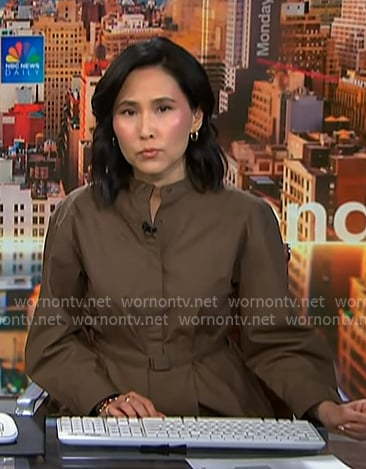 Vicky’s brown band collar shirtdress on NBC News Daily