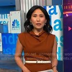 Vicky's brown belted dress on NBC News Daily