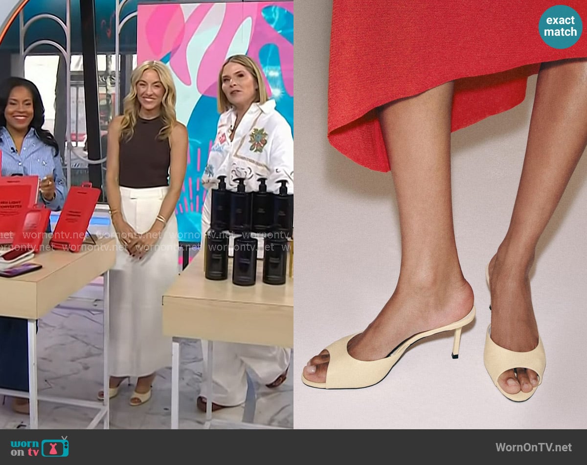 Dria Murphy’s yellow heel sandals on Today Dria Murphy’s yellow heel sandals on Today