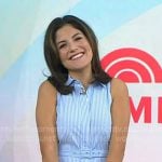 Adrianna's blue striped sleeveless shirtdress on Today