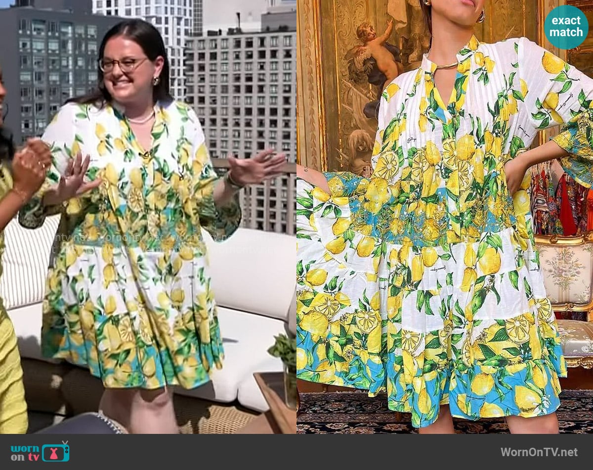 Antica Sartoria Button Down Dress in Aqua Lemons worn by Krissy Downey on Today