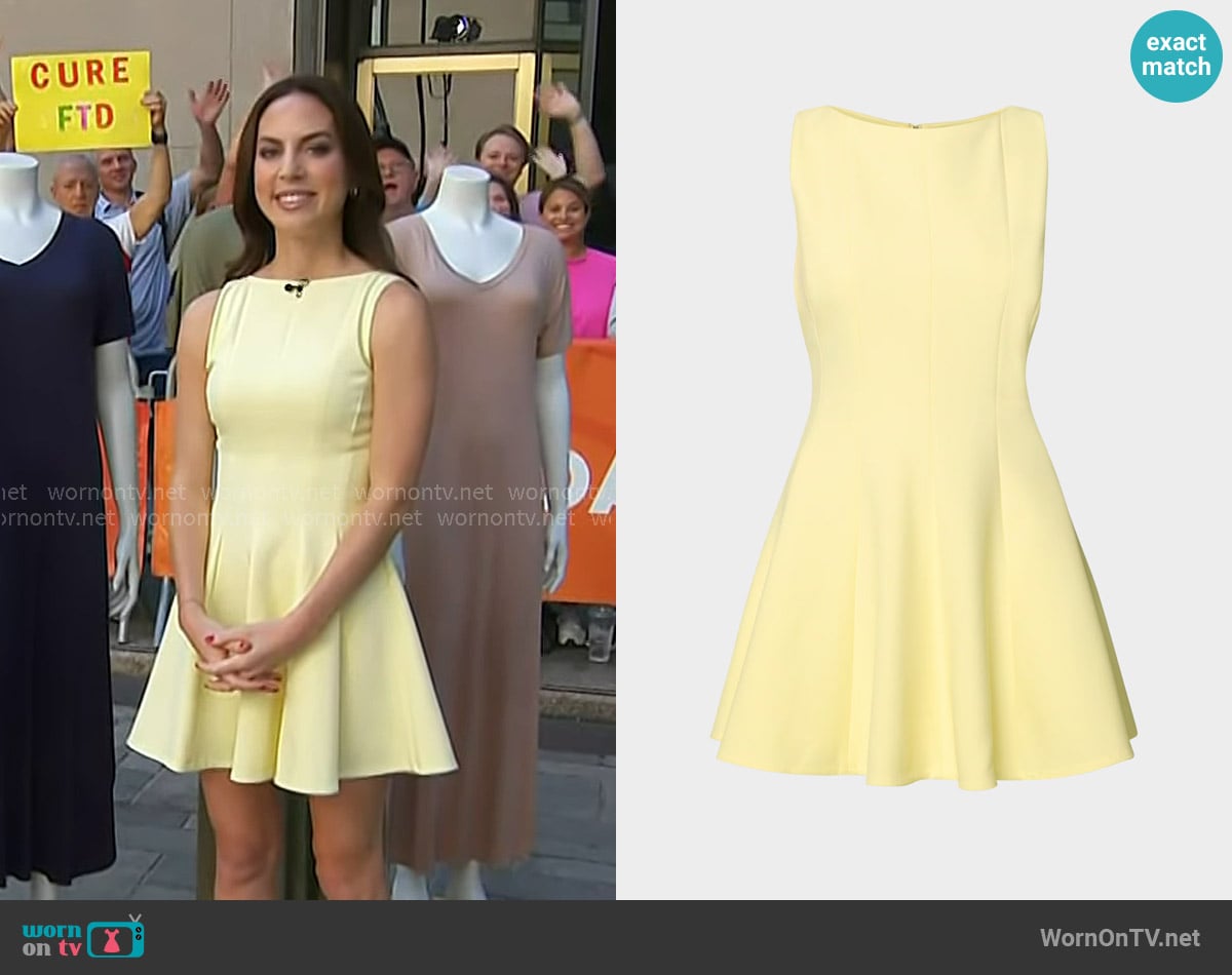 Aritzia Softly Structured Hourglass Micro Dress worn by Julie Ricevuto on Today