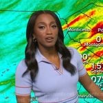 Brittany’s blue striped polo dress on Good Morning America