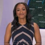 Brittany’s striped sleeveless dress on Good Morning America