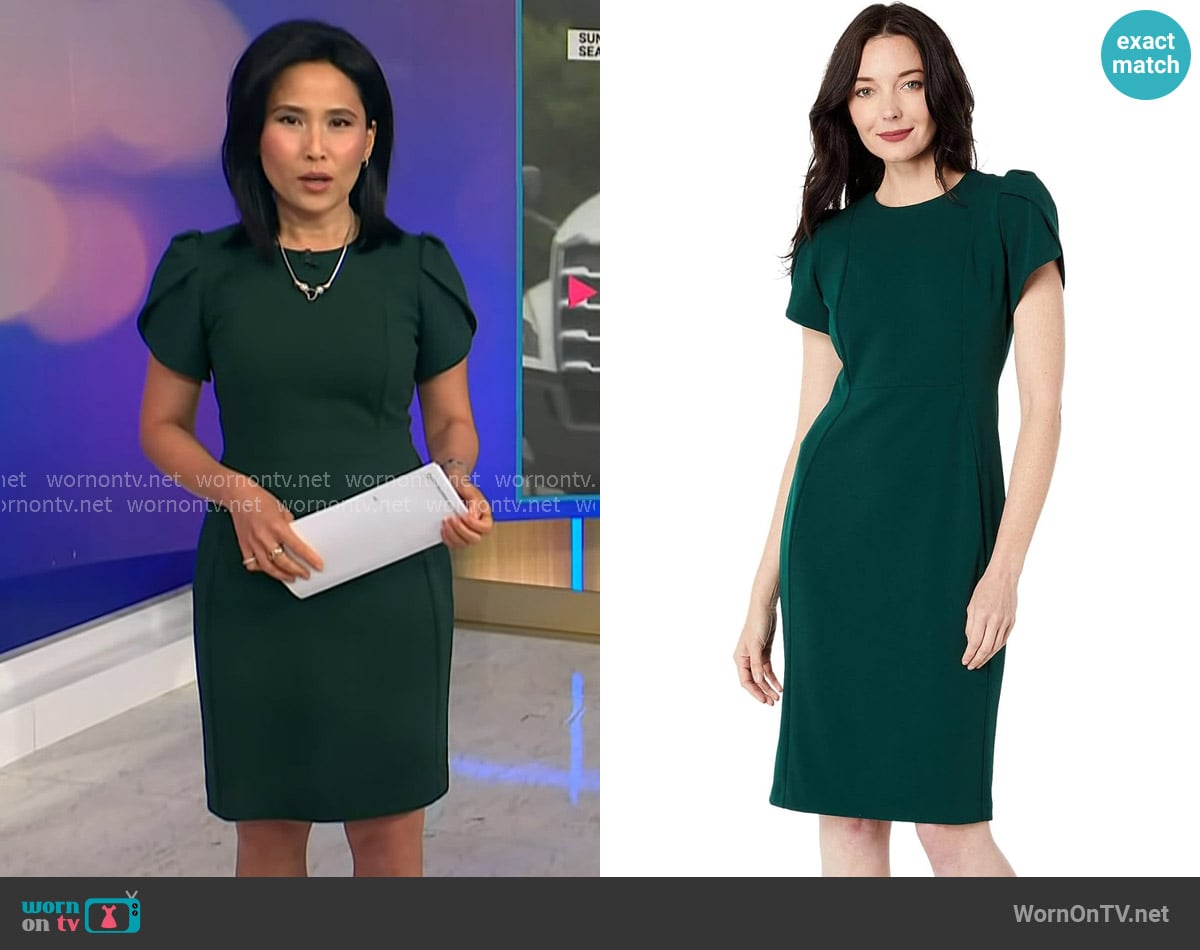 Calvin Klein Tulip Sleeve Dress worn by Vicky Nguyen on NBC News Daily