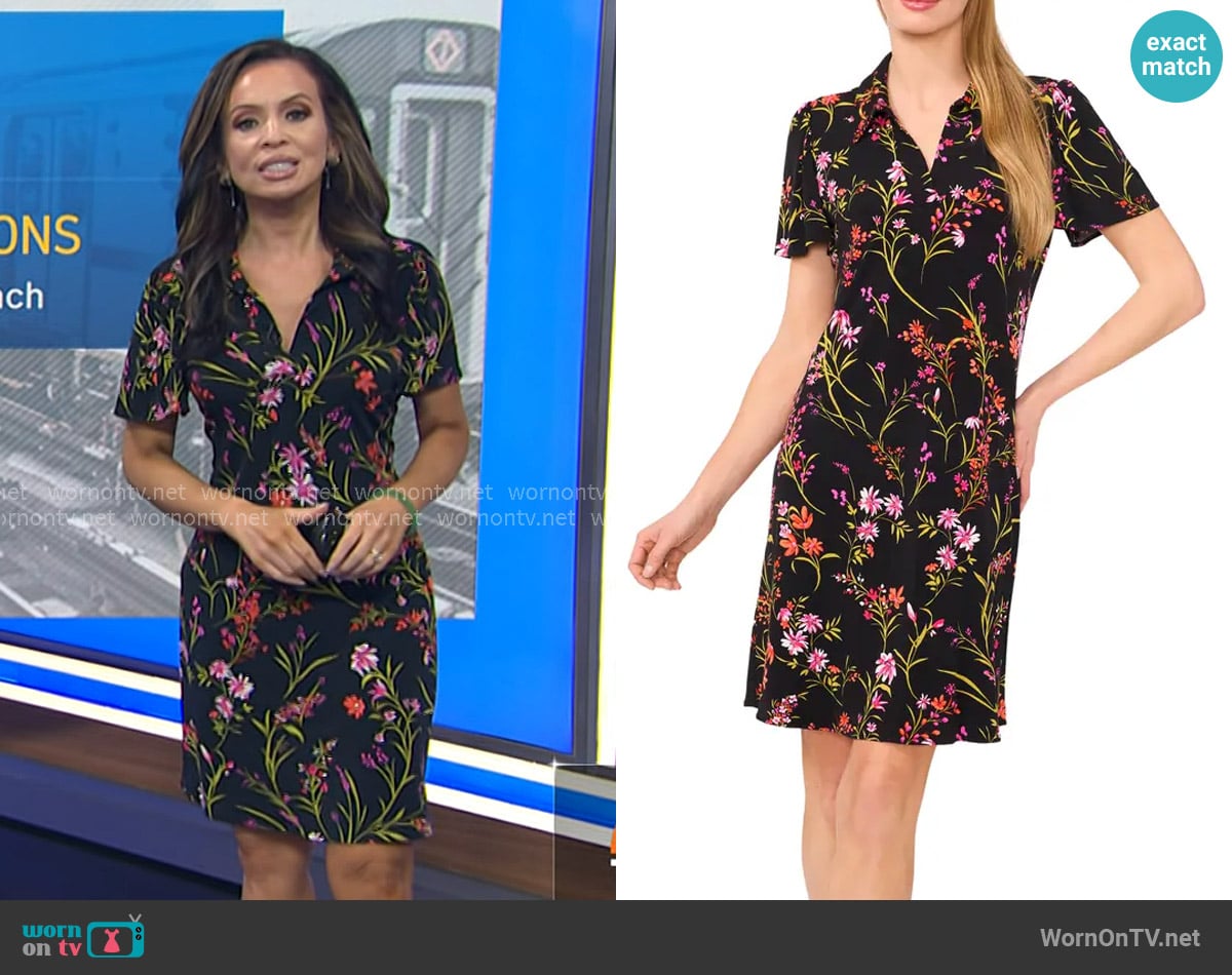 Cece Print Polo Minidress worn by Adelle Caballero on Today