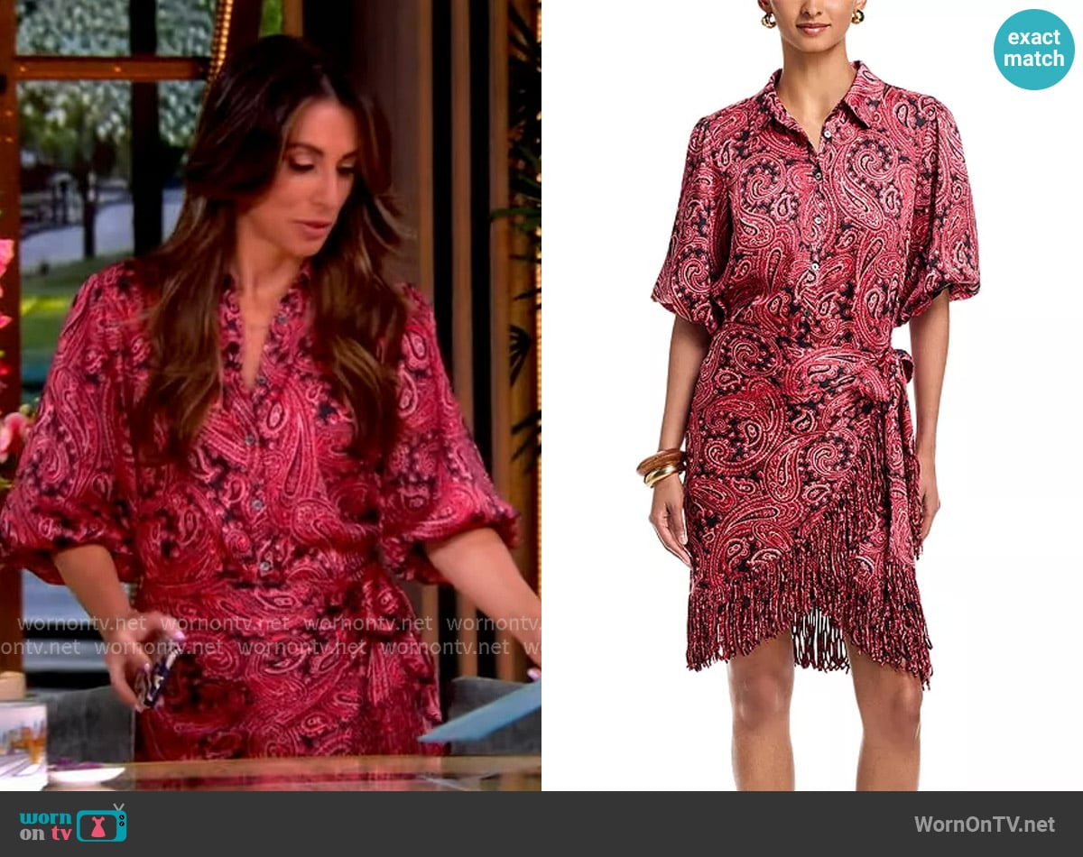 Cinq a Sept Hendrix Paisley Kember Dress worn by Alyssa Farah Griffin on The View